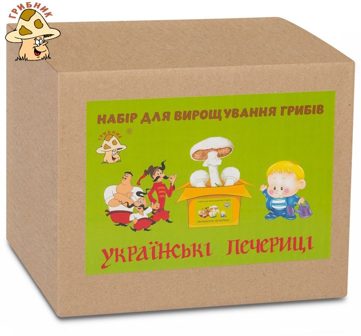 Грибна коробка